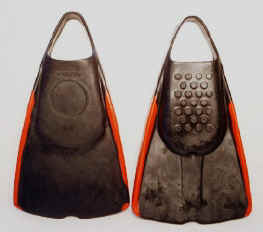 shortfins