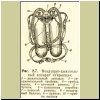 07-ukraina-schema.jpg