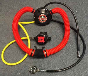 argonaut05a.jpg (100623 Byte)