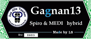 Logo Gagnan13 